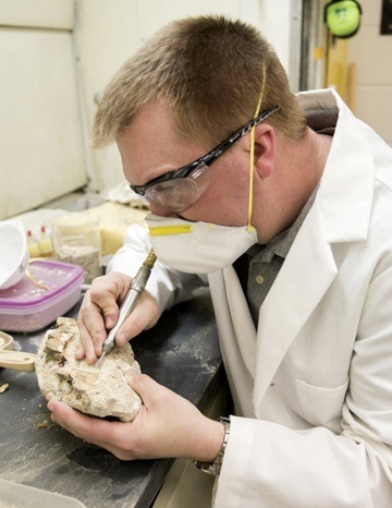 Graduate student Joshua Mathews removes rock deposits from a specimen.