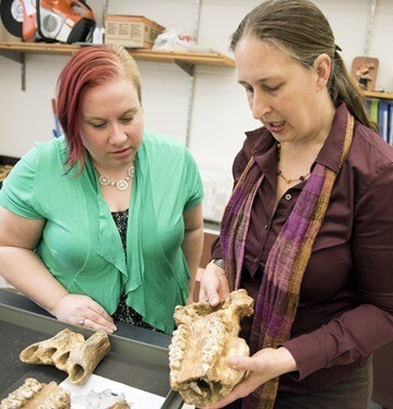 Graduate student Katie Heffernan (left) and Karen Samonds discuss the intricacies of a hippopotamus jaw discovered during one of Samonds’ research trips to Madagascar. 